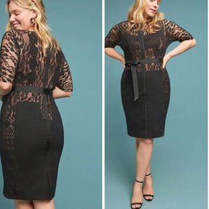 Anthropologie Byron Lars Carissima Sheath Dress - Size 18W - NWT